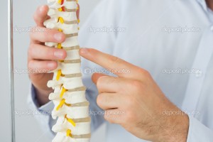 depositphotos 33439093-Close-up-of-male-doctors-hand-pointing-at-skeleton-model   